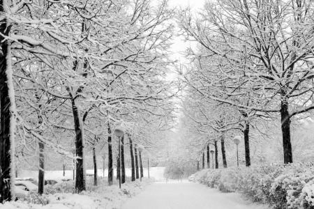 9 Tips for Winter Running