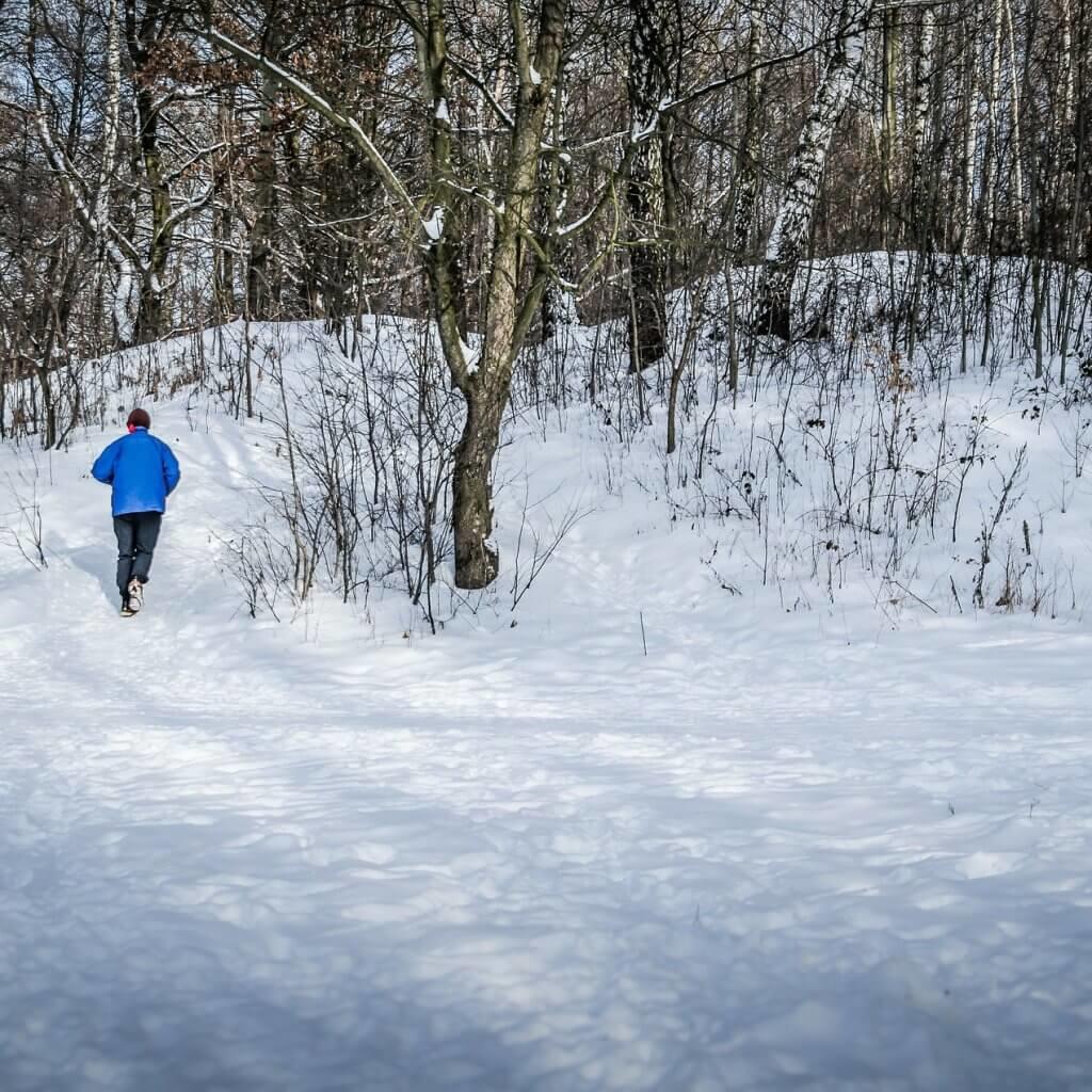 snow-running-trees