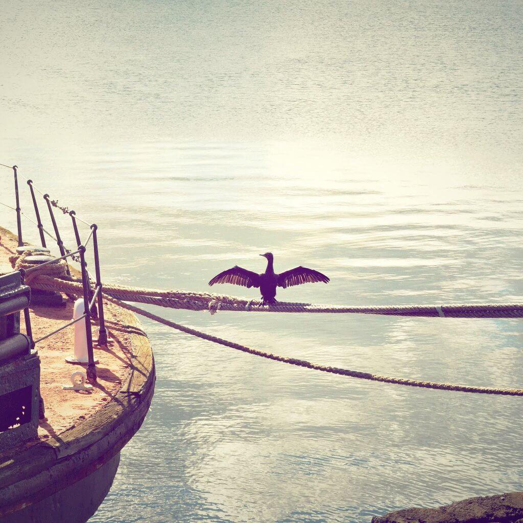 RunnerClick