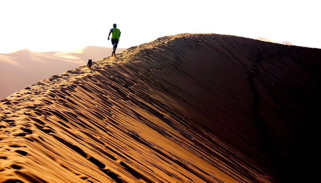 staying-safe-running-solo-runner-with-dog