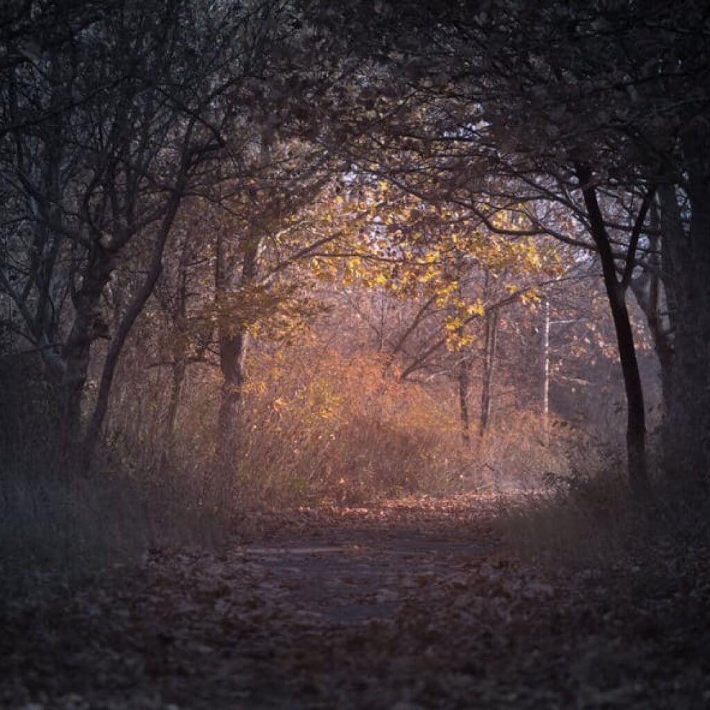 RunnerClick