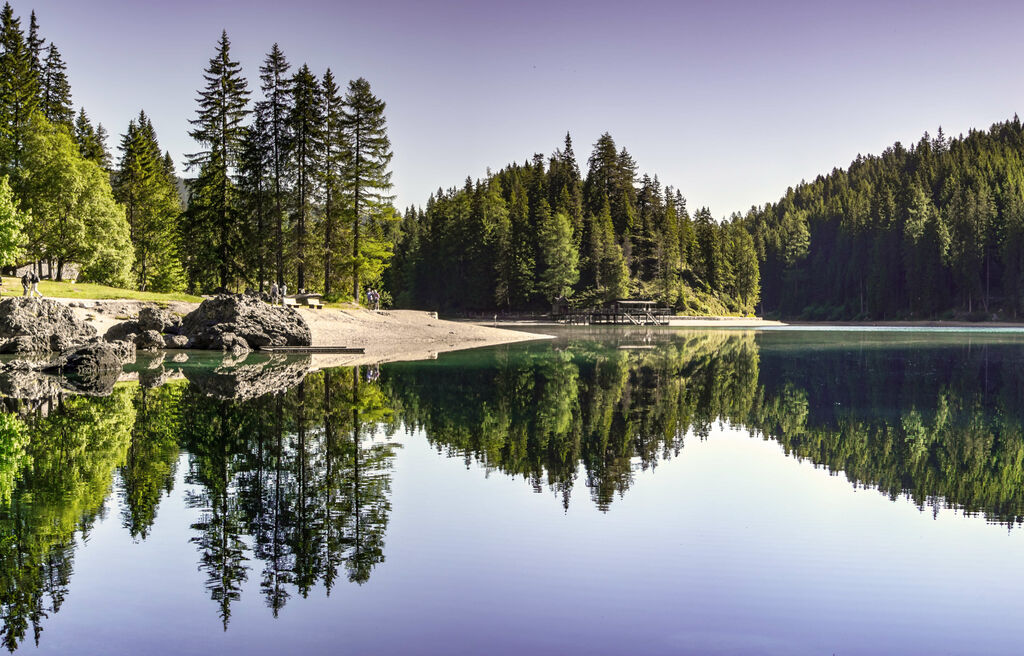 Winter trail, lake with fir forest