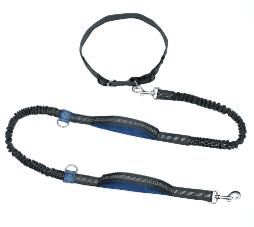 Best Dog Leashes for Running Fully Reviewed | RunnerClick