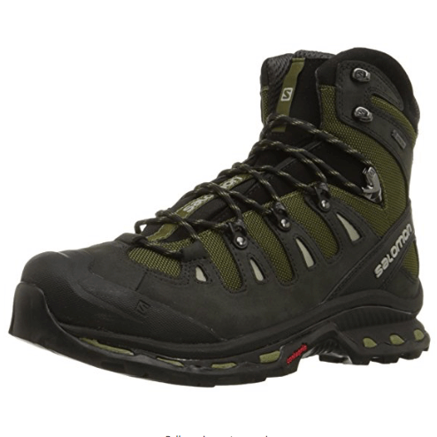 Salomon Quest 4D 2 GTX