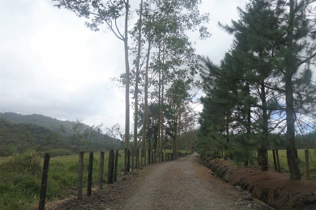 RunnerClick