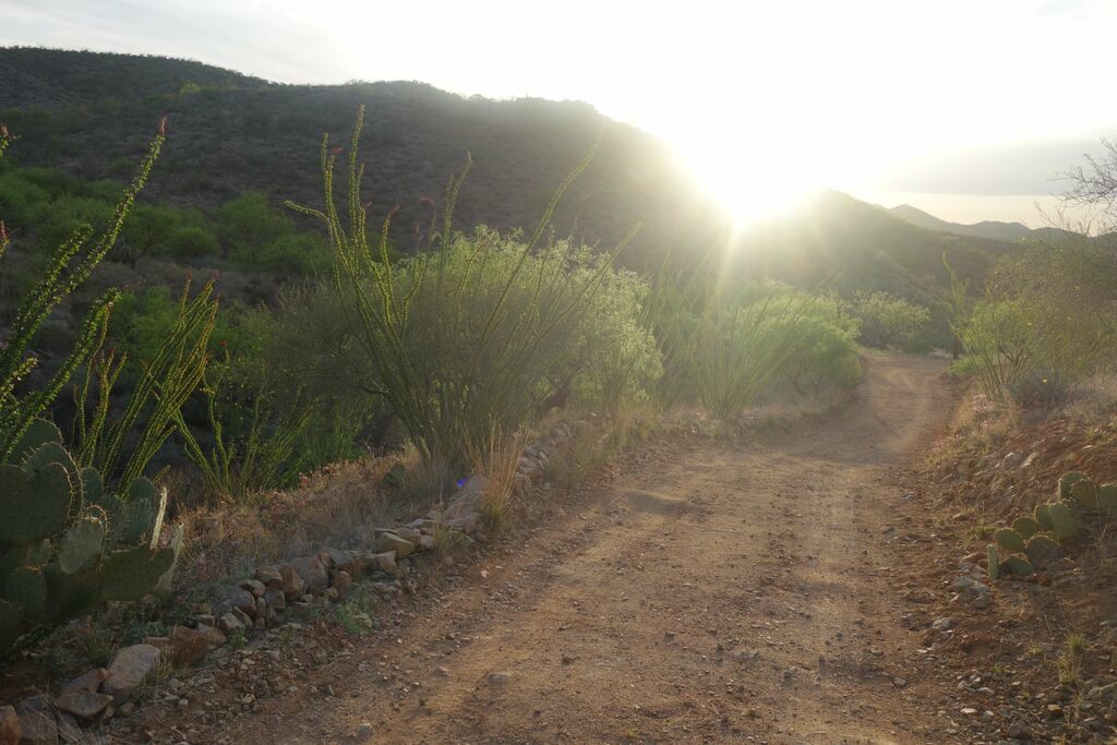 RunnerClick