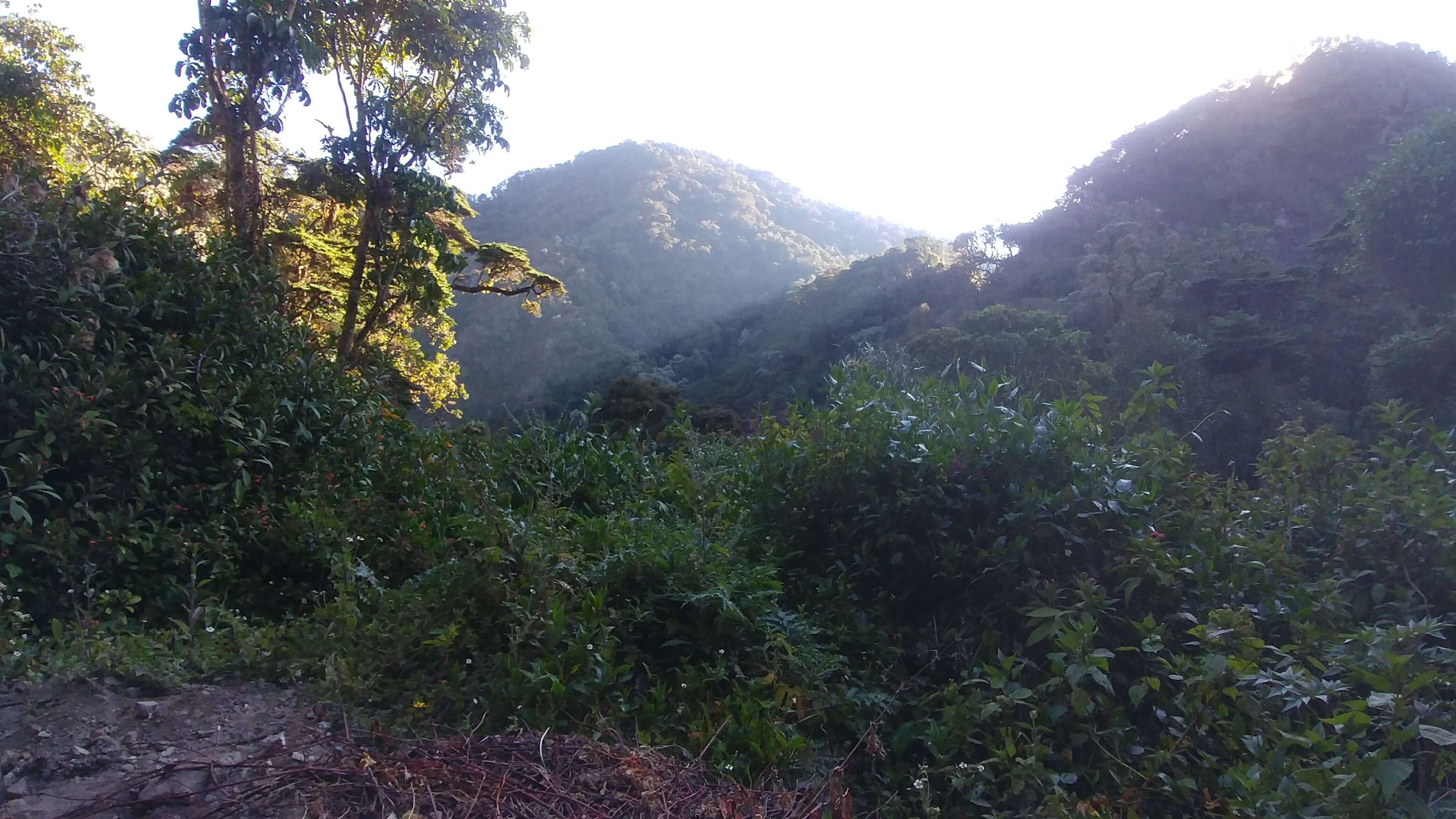 RunnerClick