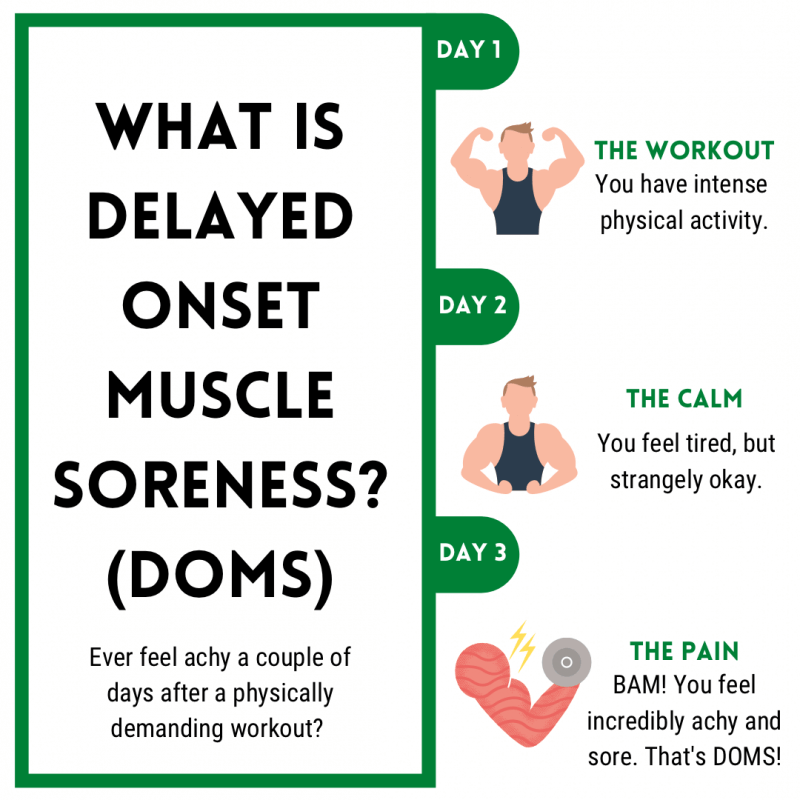 delayed onset muscle soreness