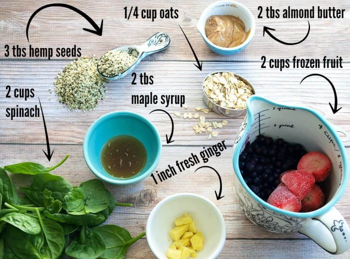 homemade vegan protein powder recipe