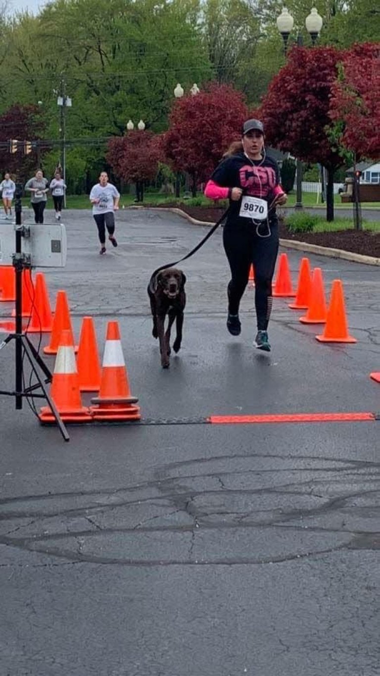 Best Running Dogs Our List of the Best Breeds for Running RunnerClick