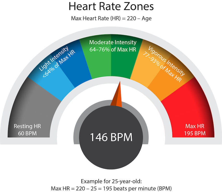 heart rate zones