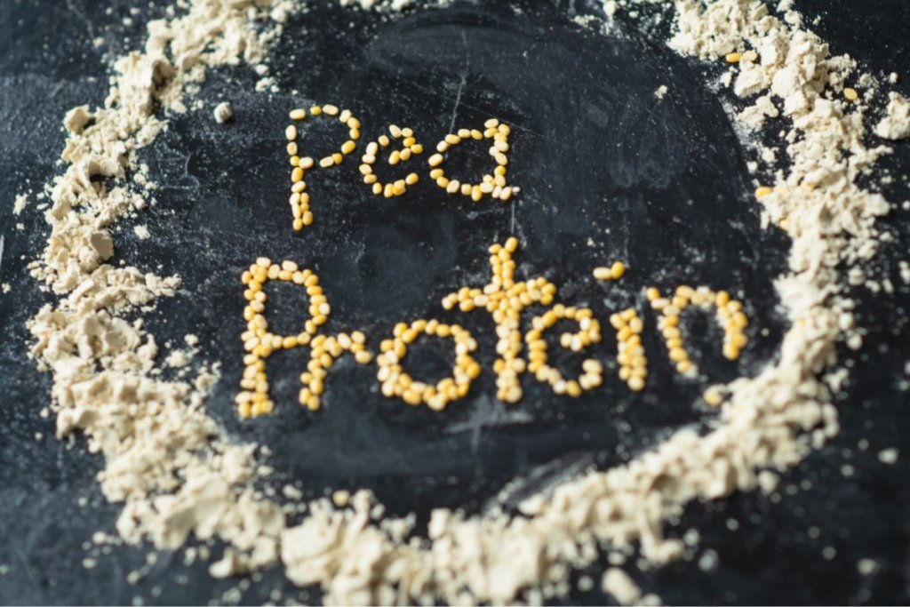 Pea protein