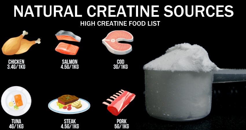 Foods high in creatine