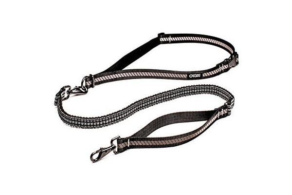 our list of the 10 best dog leashes for running fully reviewed