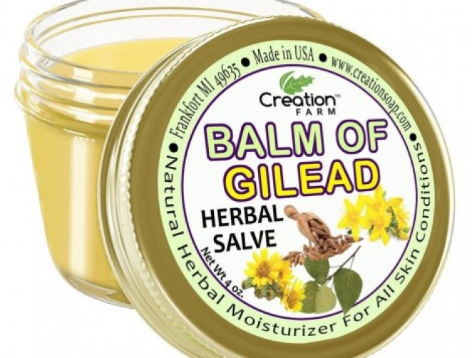 Creation Farm Balm of Gilead Herbal Salve
