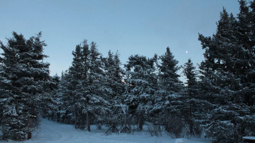 Destination Running: Winter Trails in British Columbia