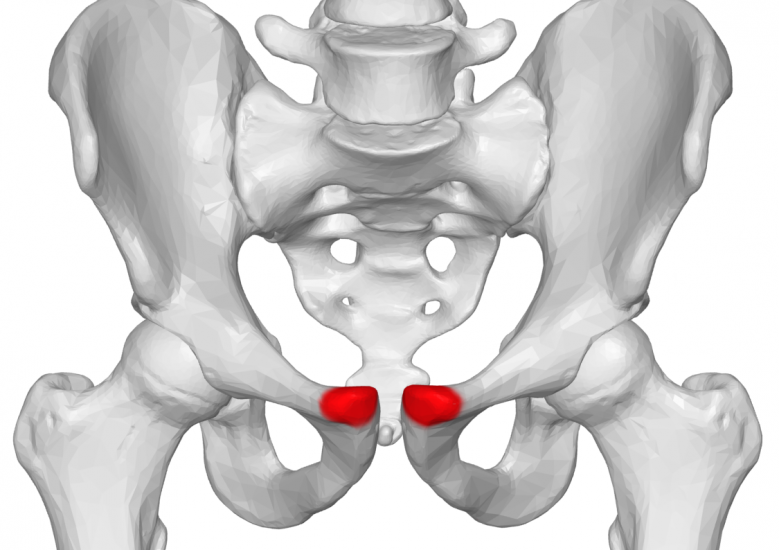 Groin Pain After Running: 9 Causes & Quick Solutions