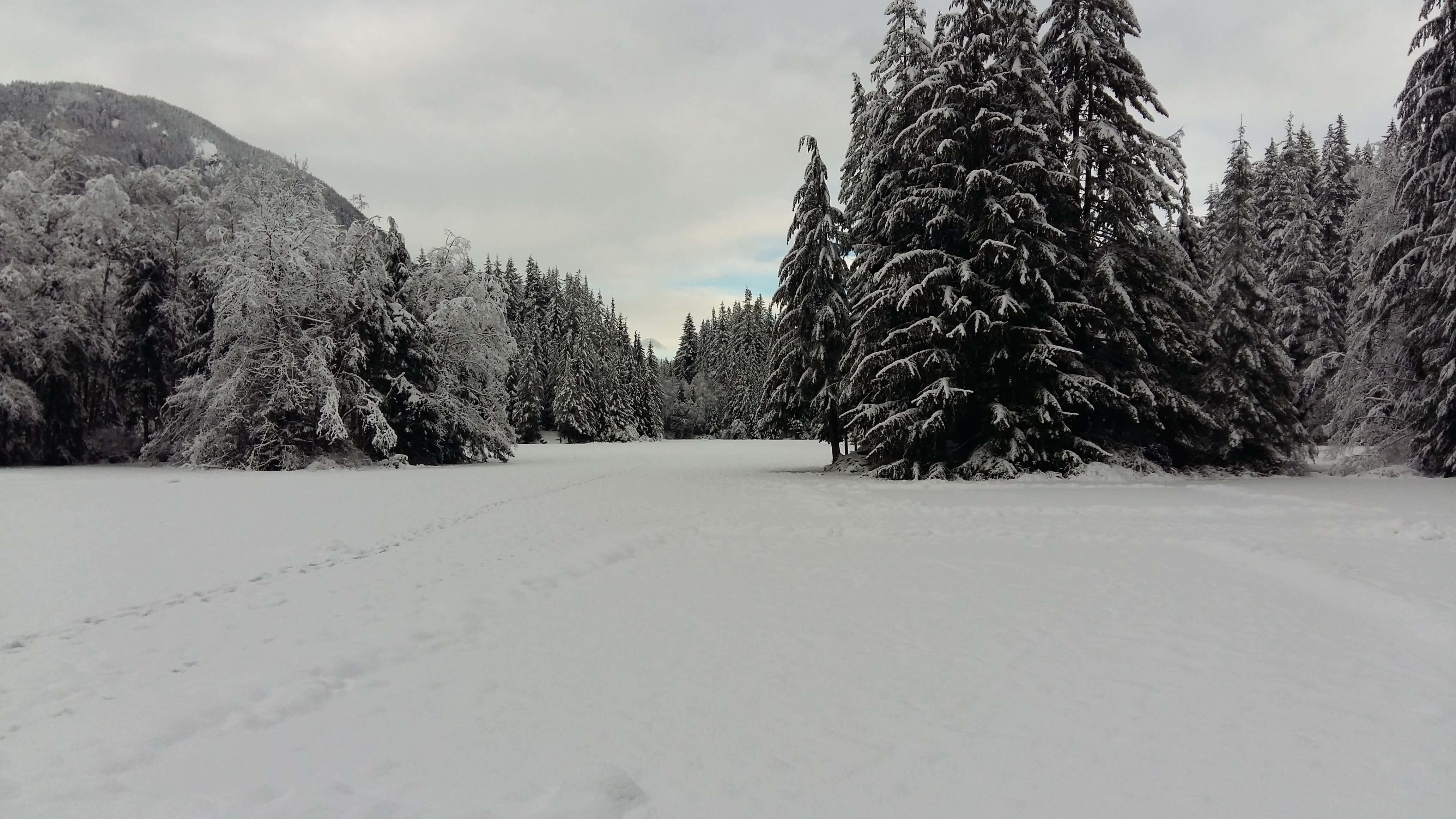 Rice lake, north Vancouver winter trail
