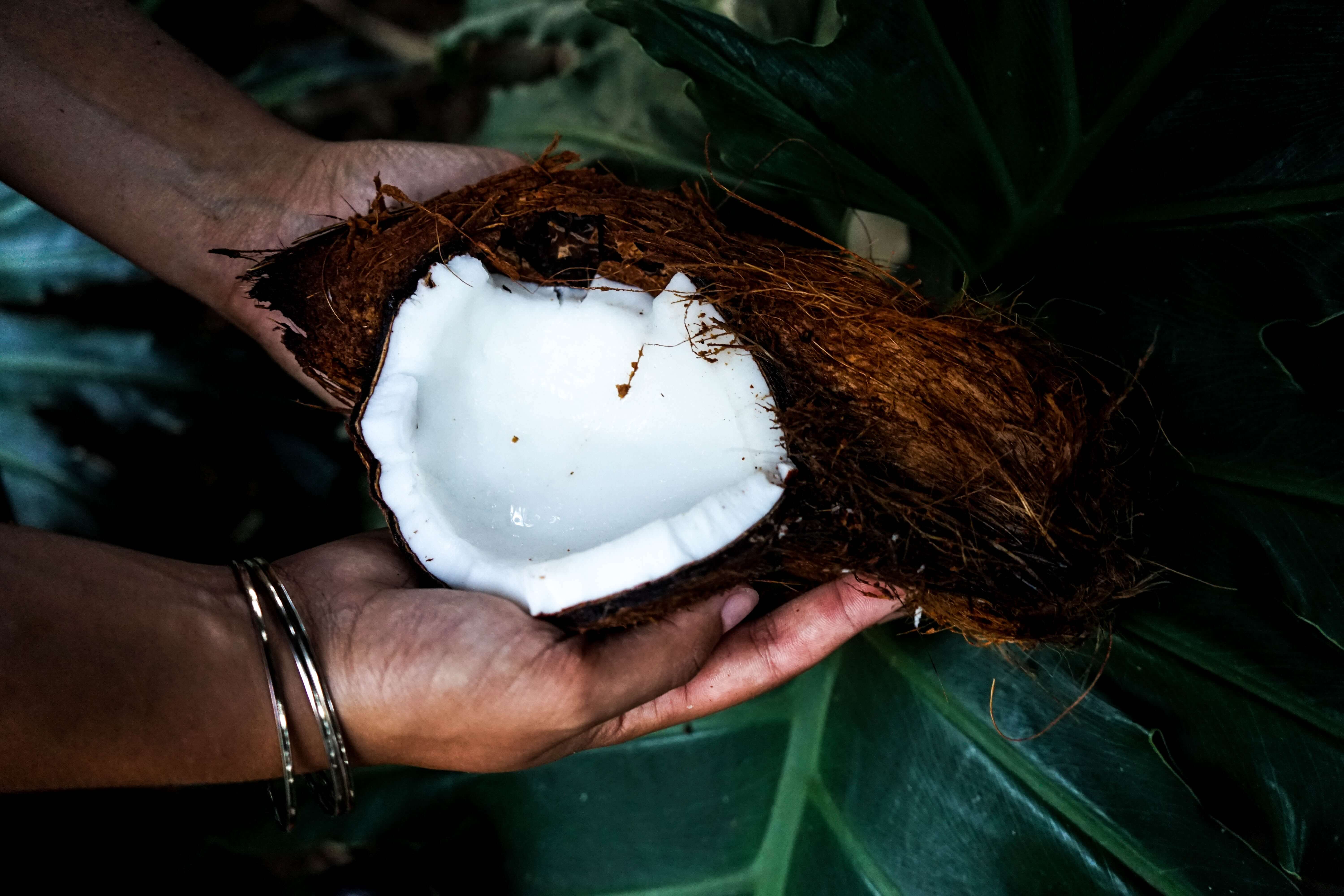 hands holding a halved coconut