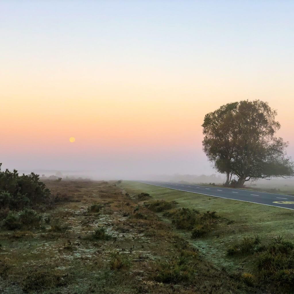 RunnerClick
