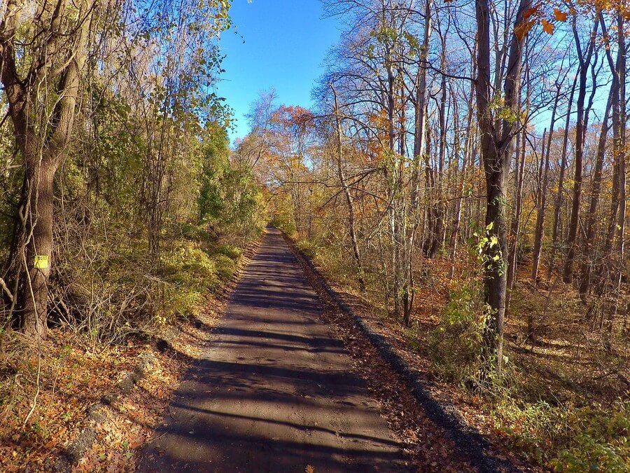 RunnerClick