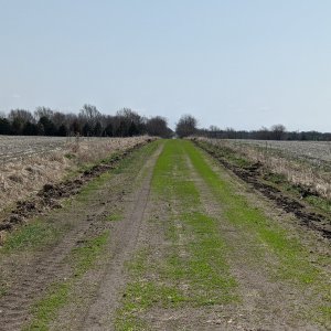 running trail