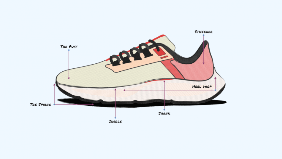 what is the anatomy of a shoe